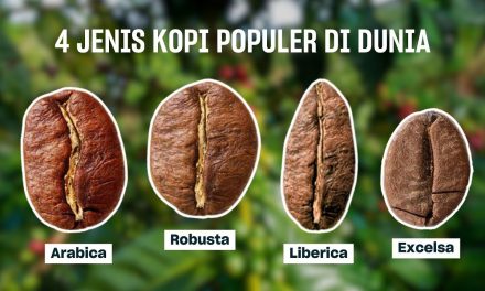Menelusuri Varietas Kopi Terbaik Dari Arabika Hingga Robusta