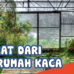 Manfaat Rumah Kaca: Inovasi Untuk Menghadapi Perubahan Iklim