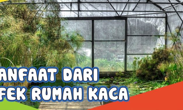 Manfaat Rumah Kaca: Inovasi Untuk Menghadapi Perubahan Iklim