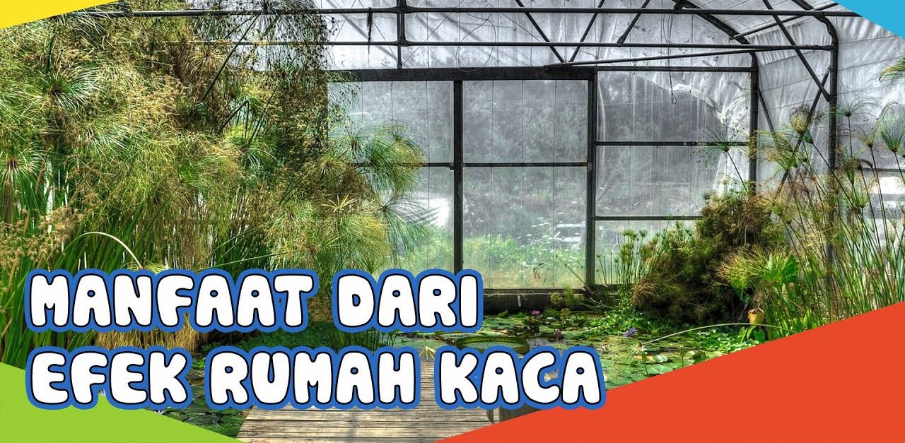 Manfaat Rumah Kaca: Inovasi Untuk Menghadapi Perubahan Iklim