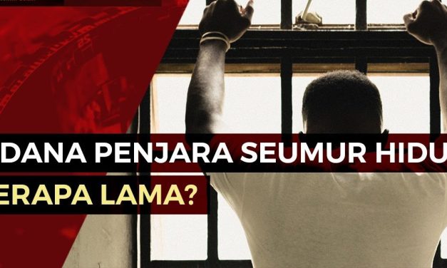 Jenis Hukuman Seumur Hidup Dalam Perspektif Hukum Pidana