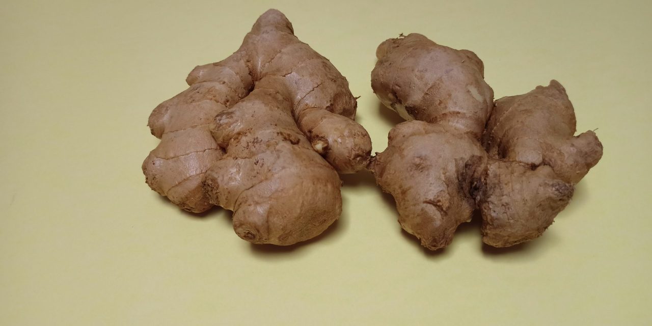 Jahe Merah: Superfood Tradisional Segudang Manfaat Kesehatan