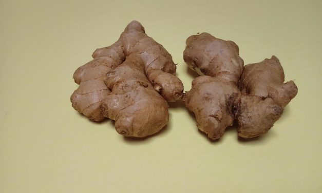 Jahe Merah: Superfood Tradisional Segudang Manfaat Kesehatan