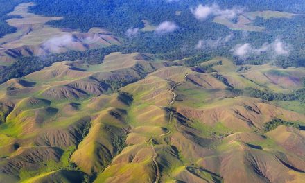 Potret Kearifan Dan Kekayaan Alam Di Lereng Papua Pegunungan