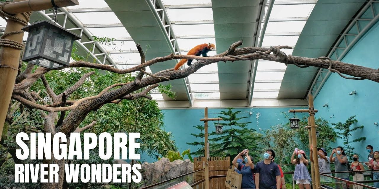 River Wonders Salah Satu Destinasi Wisata Favorit Di Singapura