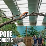 River Wonders Salah Satu Destinasi Wisata Favorit Di Singapura