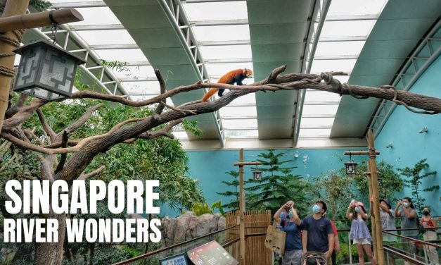 River Wonders Salah Satu Destinasi Wisata Favorit Di Singapura