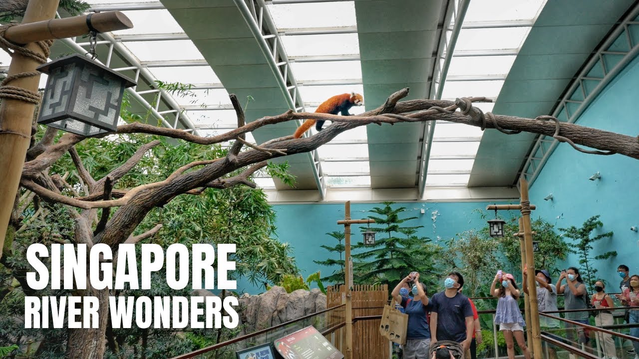 River Wonders