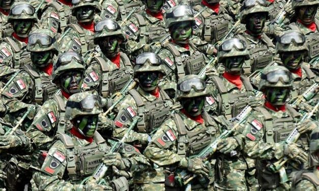 Peran Militer dalam Keamanan dan Stabilitas Global