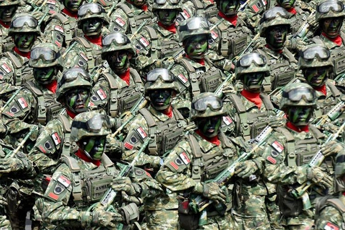 Peran Militer