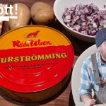 Surströmming Ikan Fermentasi Kuliner Dari Swedia
