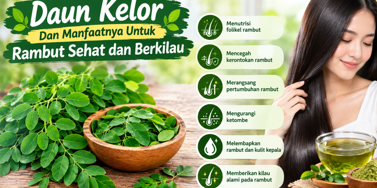 Daun Kelor Dan Manfaatnya Untuk Rambut Sehat Dan Berkilau
