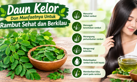 Daun Kelor Dan Manfaatnya Untuk Rambut Sehat Dan Berkilau